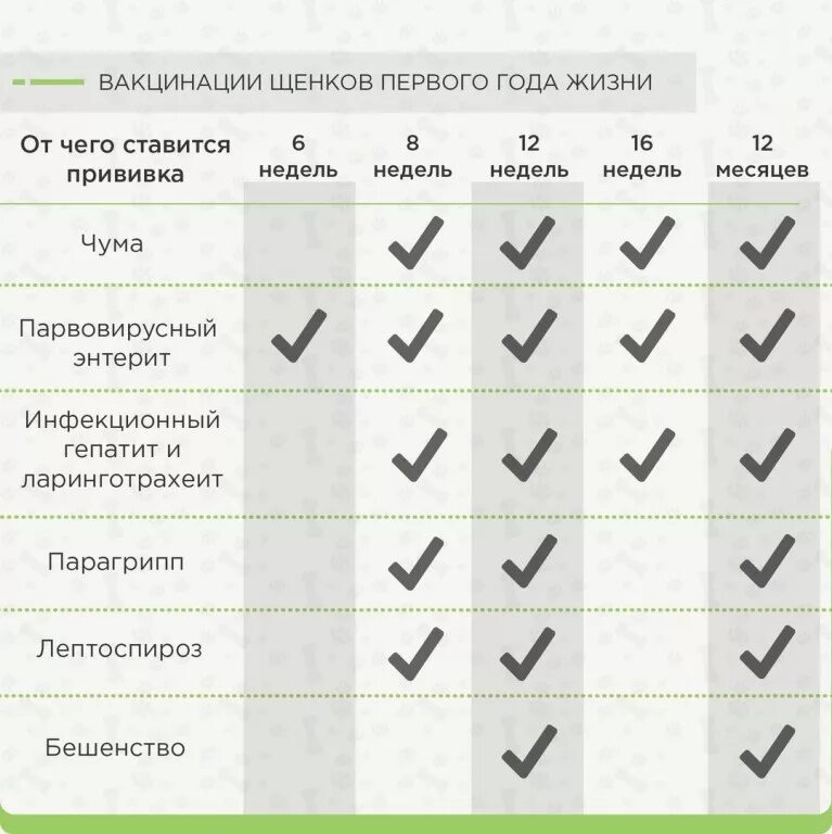 Календарьтпрививок для собак. График вакцинации щенков. Календарь прививок для собак. Календарь прививок для щенков. Прививки для щенков график