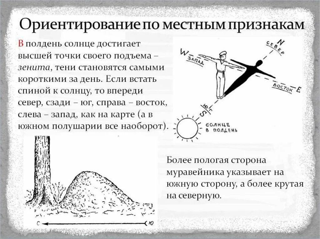 Ориентир по местным природным признакам. 5 Местных признаков ориентирования на местности. Способы ориентирования на местности без компаса 6 класс. Природные ориентиры сторон горизонта. Ориентированы и т д