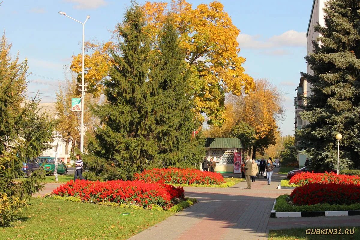 Сквер Лазарева Губкин. Улица Чайковского города Губкина. Губкин (город). Город Губкин Белгородской области.