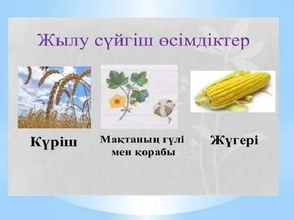 Жетілген қыздың порно фотосуреті