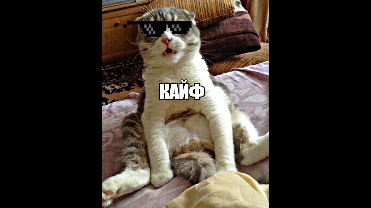 А ч кайфую