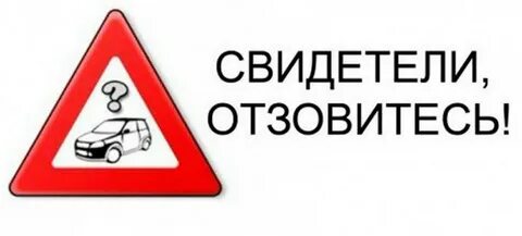 Установить свидетелей и очевидцев