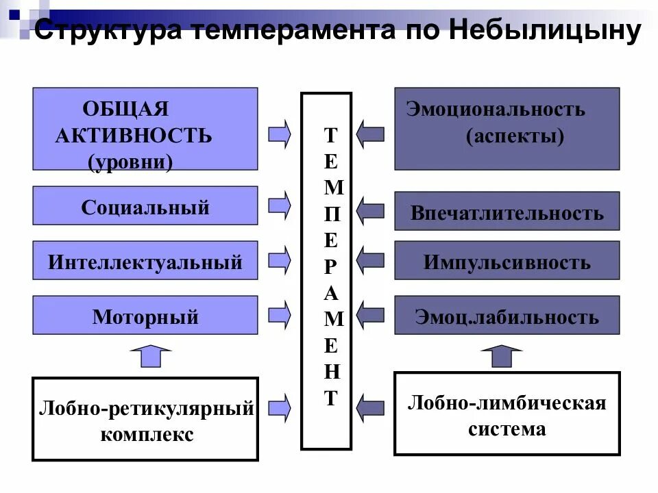 Теории темперамента Теплова Небылицына. Структура темперамента. Компоненты в структуре темперамента. Темперамент основные структурные компоненты. Психологическая структура темперамента