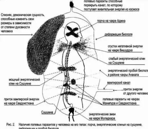 Привязка сущности. Аура человека энергетические сущности в ауре. Сущности в биополе человека. Как выглядят энергетические паразиты. Подселенцы в биополе человека.