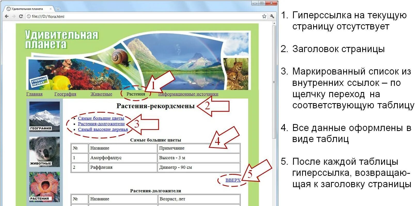 Страница сайта исчезает. Образец веб страницы. Web страница пример. Название веб страницы. Страница веб сайта.