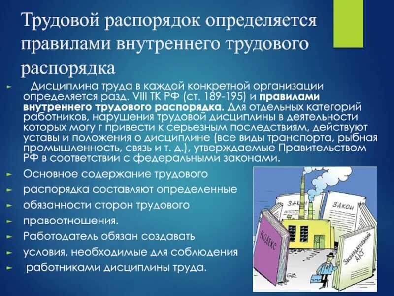 Что определяется правилами внутреннего трудового распорядка. Дисциплина труда и трудовой распорядок. Понятие дисциплины труда и трудового распорядка.. Дисциплина труда внутренний трудовой распорядок.