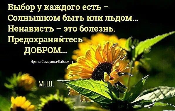 Разное больно. Знай у каждого Разное больно. Стих знай у каждого Разное. Выбор у каждого есть солнышком быть или льдом. У каждого Разное больно у каждого Разное.