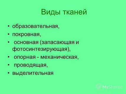 Роль фотосинтезирующих организмов