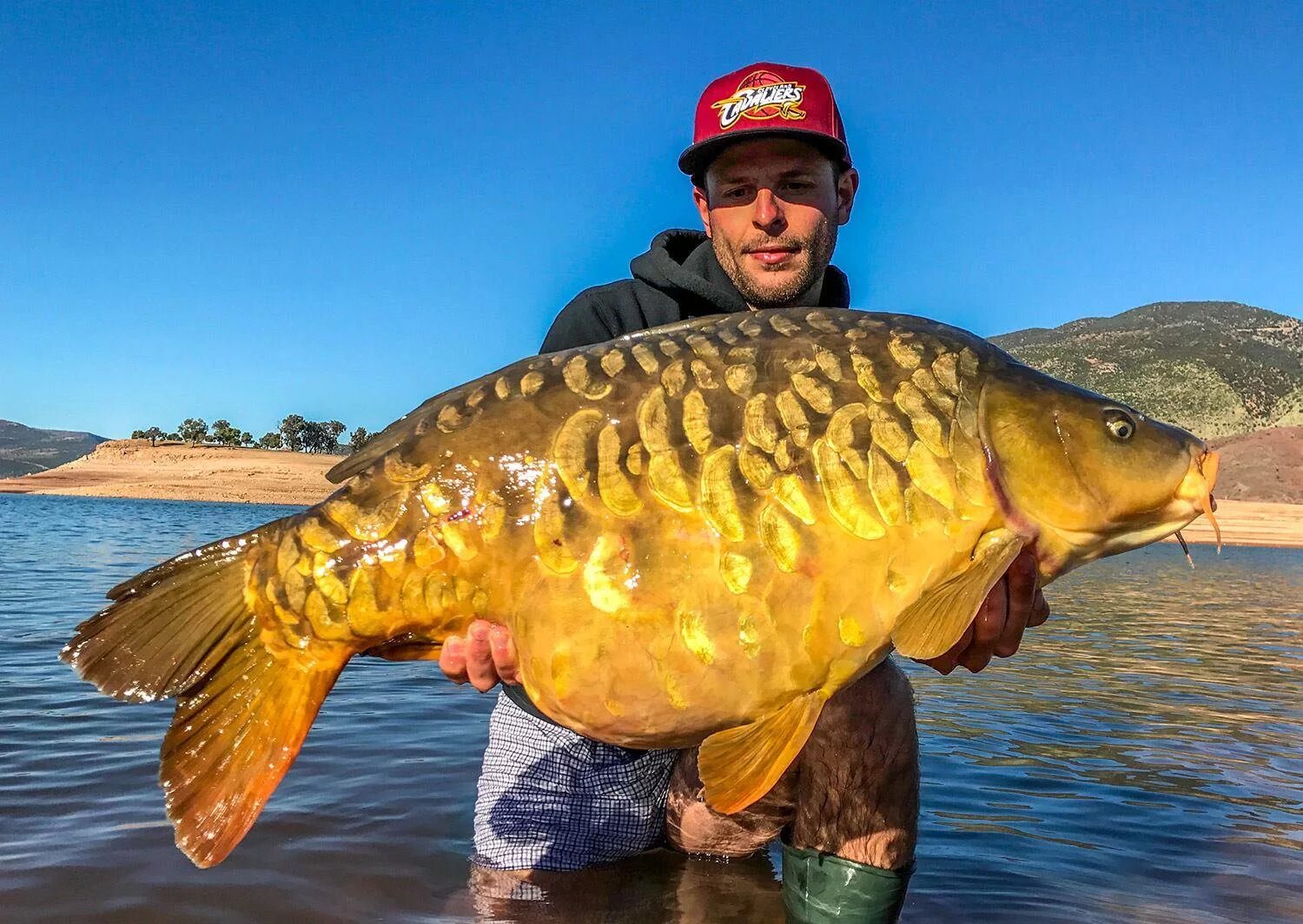 Рыба большая. Гигантские рыбы. Сазан рекорд. Большая рыба программа. Джереми уэйд реечный монстры.