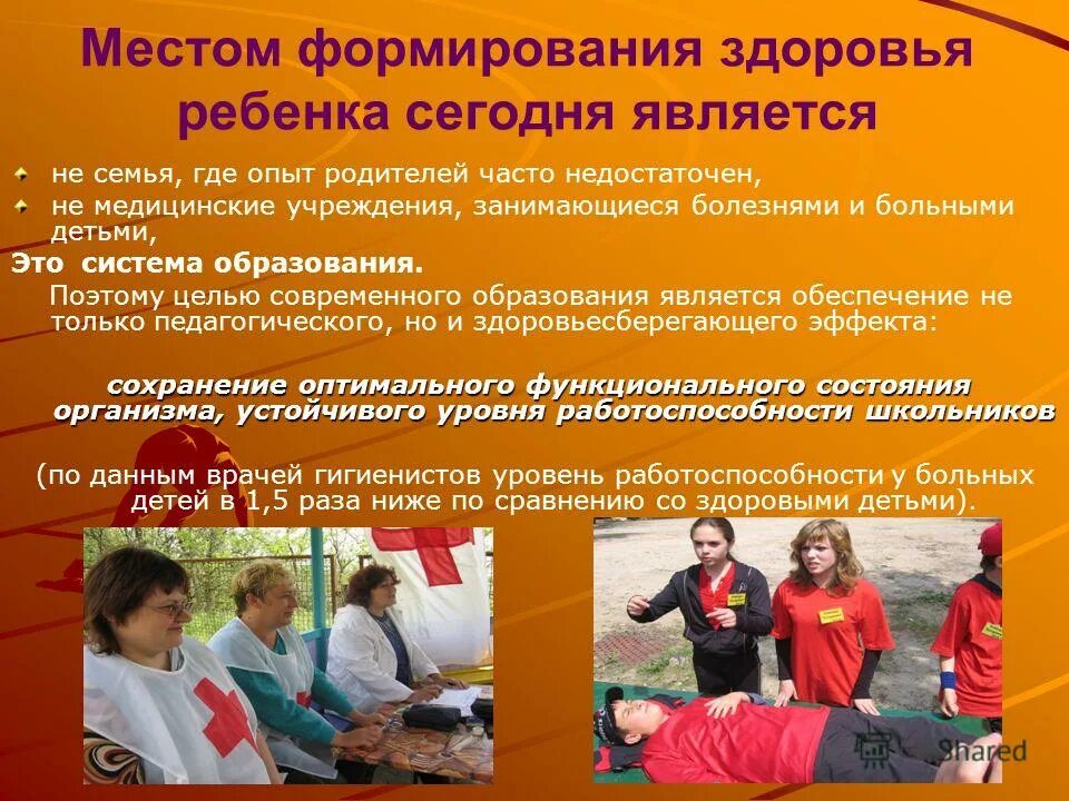 ип макеева валерия магазин одежды. пособия для учителя гара. книга основы здоровья 7 класс. программа основы здоровья. сертификат основы пищевого питания.