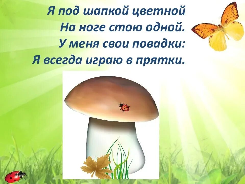Проект загадки 4 класс. Загадки о природе для дошкольников. загадки природы. загадки на тему природа. загадки о живой природе.