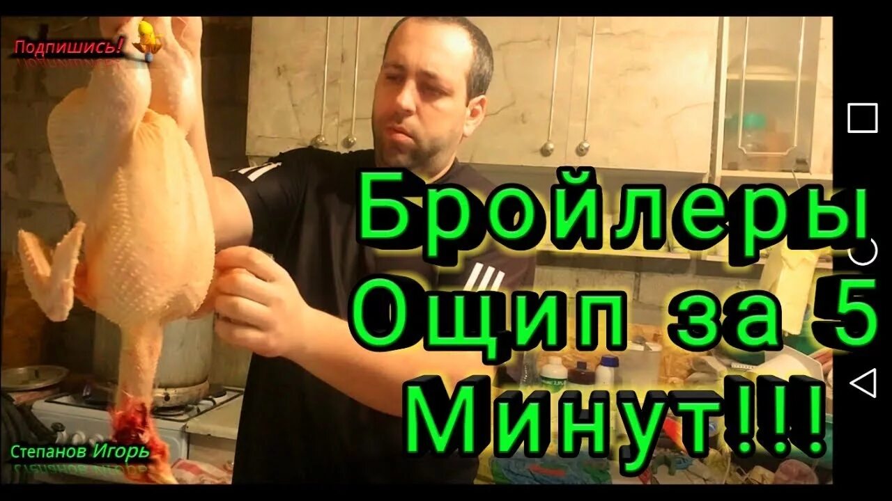 Как ощипать бройлера