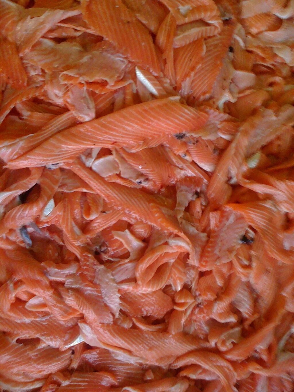 брюшко лосося теша. обрезки красной рыбы. брюшки красной рыбы. обрезки красной рыбы. обрезки красной рыбы.