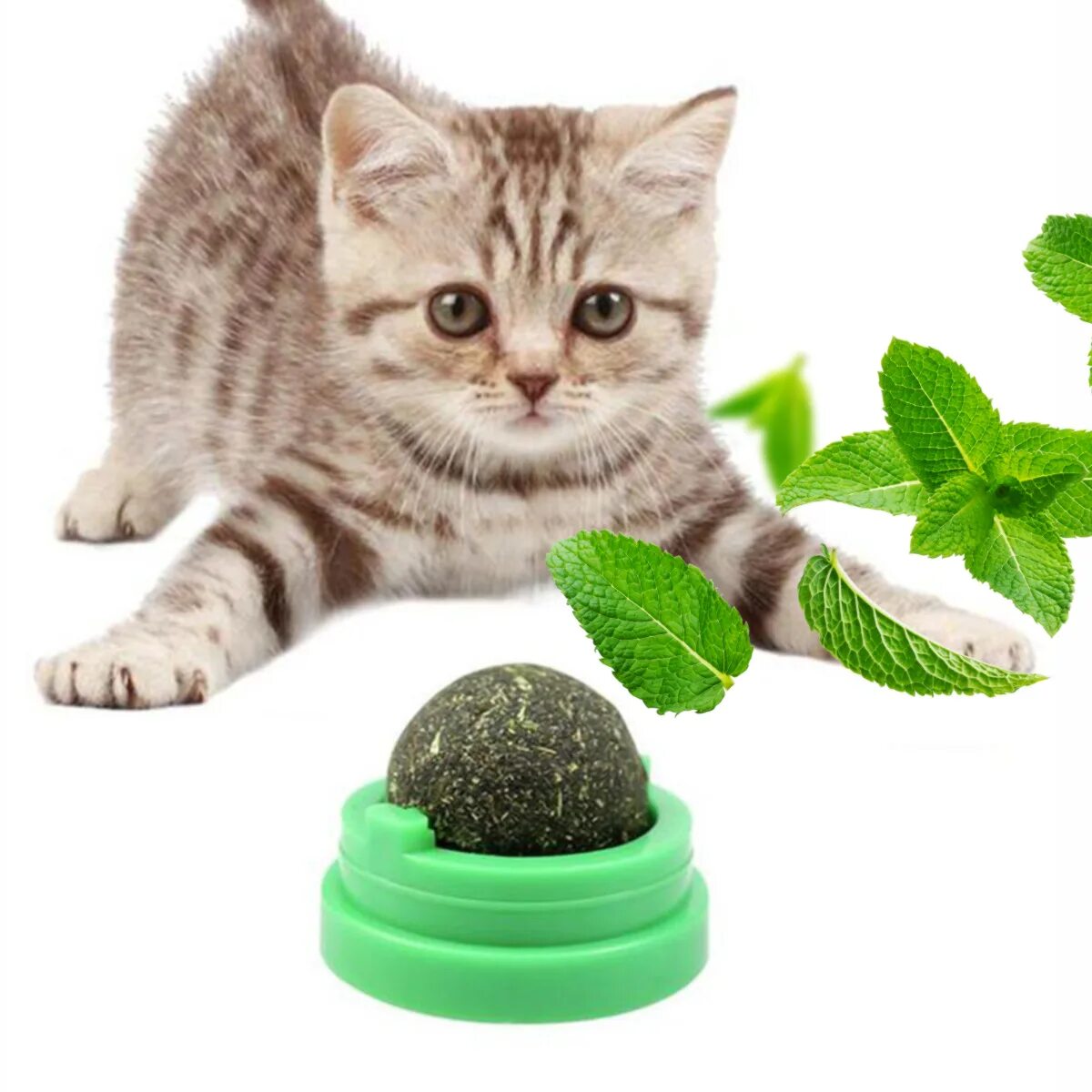 Шарик кошка. Игрушка для кошек кошачья мята. Мятные игрушки для кошек. Игрушка для кошек с шариком. Шарик кошка.