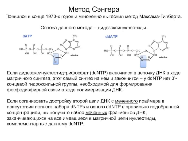 Секвенирование нуклеотидов. Метод Сенгера дезоксинуклеотид. Секвенирование максама Гилберта. Секвенирование ДНК по Максаму и Гилберту. Метод максама.