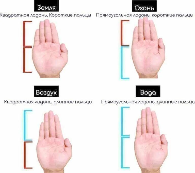 Определить ориентацию человека по пальцам. Типы пальцев на руках. Ориентация по длине пальцев. Типы рук по длине пальцев.