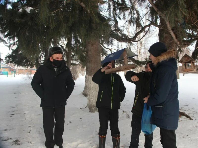 Прогулка в лесу. Лесная прогулка. Неожиданные встречи в лесу. Путешествие по лесу. Поход в лес.