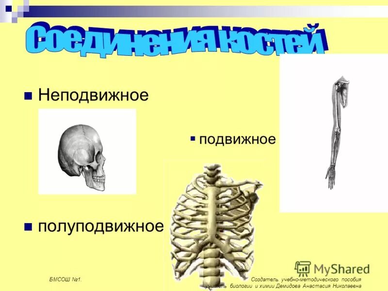 Подвижные полуподвижные и неподвижные кости. Подвижное неподвижное полуподвижное. Ребро и Грудина подвижная неподвижное полуподвижное. Подвижные полуподвижные и неподвижные кости человека таблица. Грудная клетка подвижное полуподвижное неподвижное.