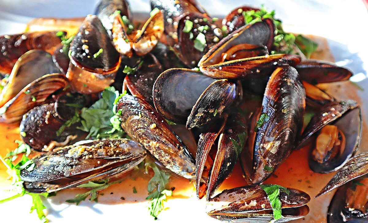 Мидии арабьята. Мидии быстро. Мидии быстро. Мидии в сливочном соусе. Тройная с мидиями.