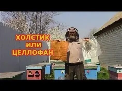 Пасека с бородой