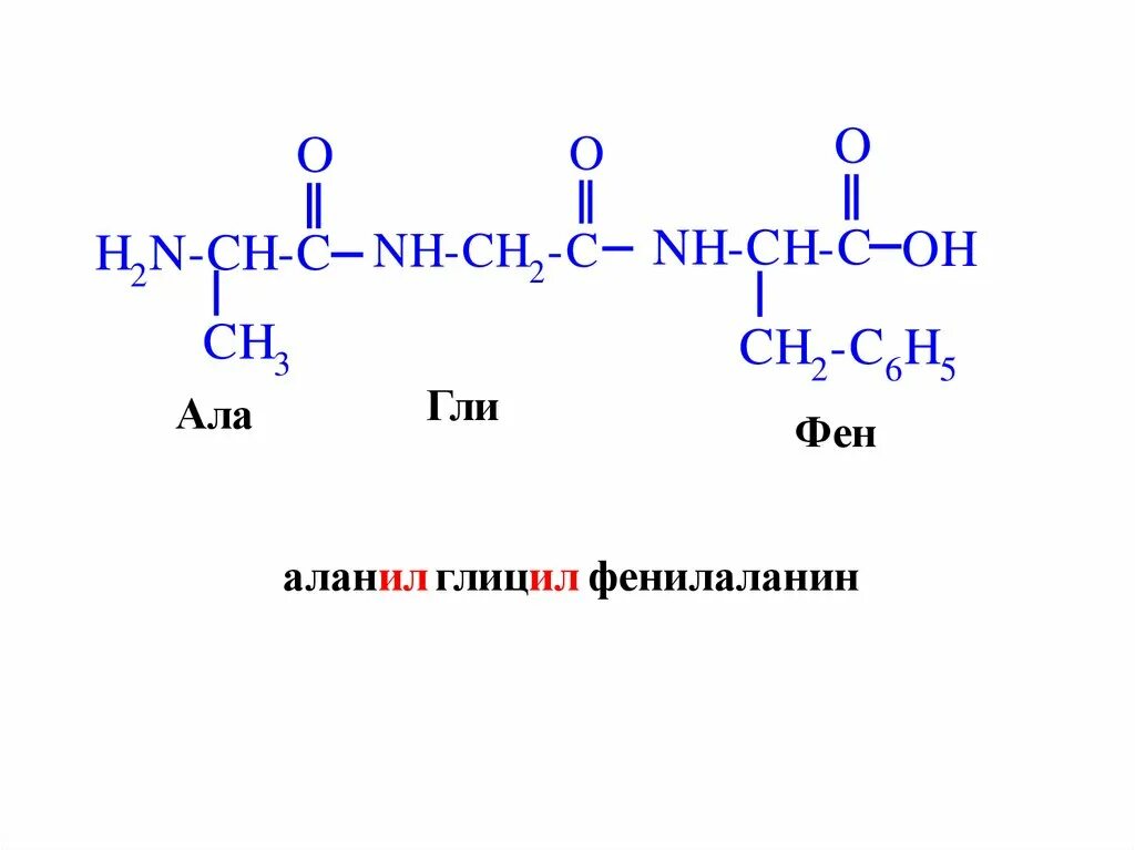 Ала фен лей вал. Образование трипептида гли ала сер. Гли мет фен Синтез трипептида. Формула трипептида гли-фен-Лиз. Трипептид фен гли цис.