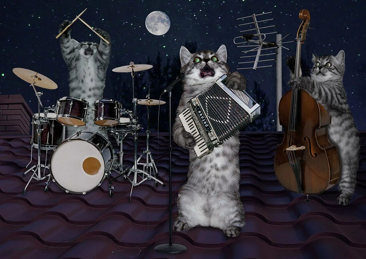 Спокойно петь. Коты музыканты. Кот Металлист. Коты с музыкальными инструментами. Поющие коты.