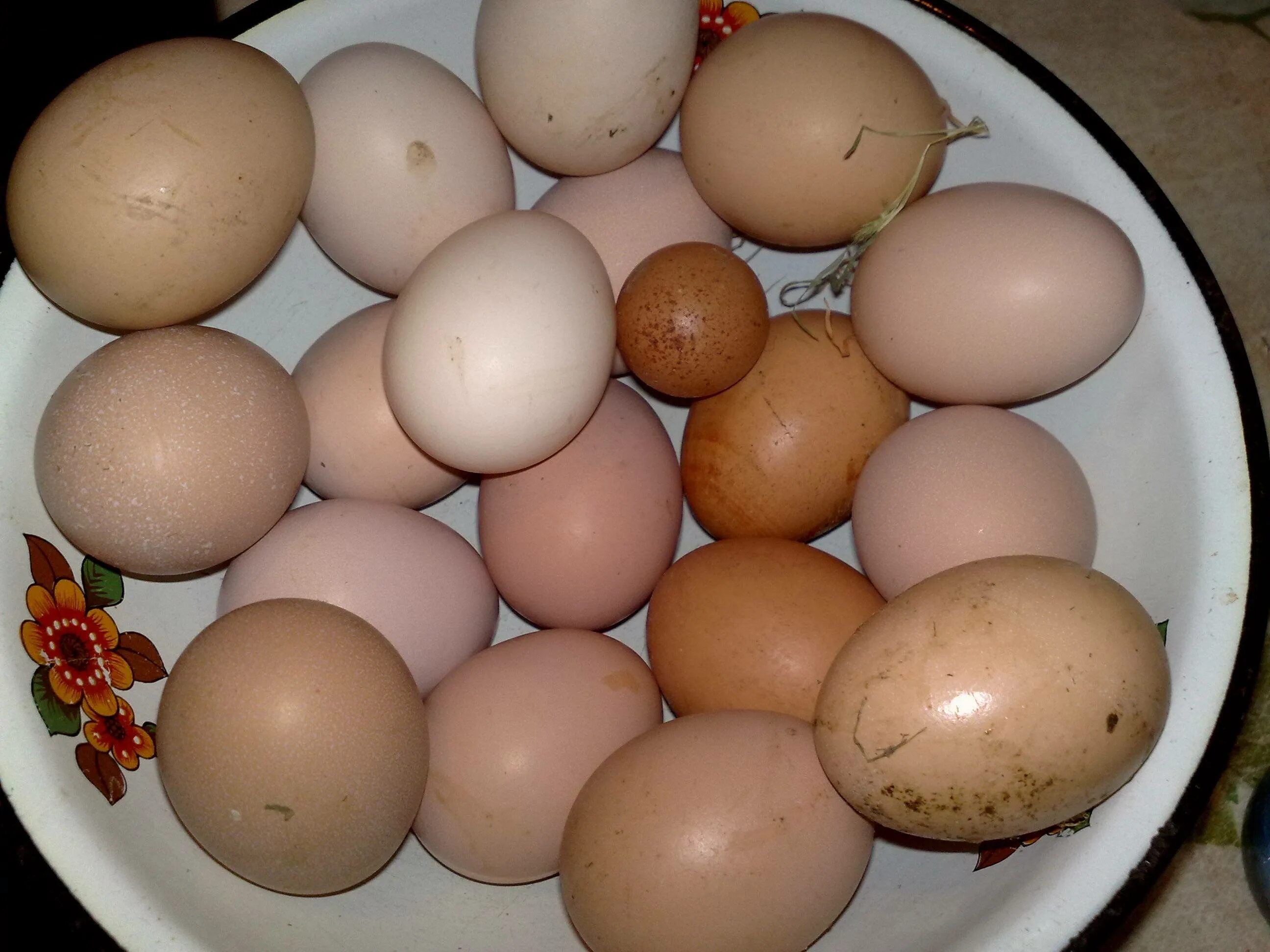 Кура несет мелкие яйца. Маленькие куриные яйца. Курица с яйцами. Мелкое куриное яйцо. Мелкие яйца.