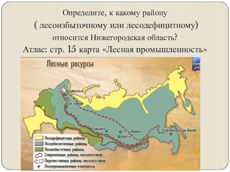 Найдите ошибку в перечне лесоизбыточных