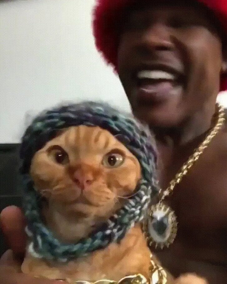 Кот репер. Кот рэпер. tell cersei i want her to know it was me. кот рэпер мем. кот репер фото.