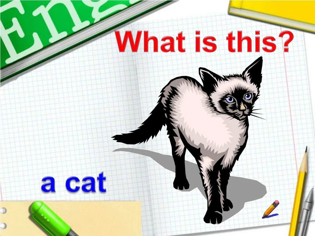 Как переводится what was the. What is this. what is this картинки. what is it картинки. тема what is this.