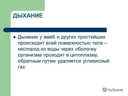 Амеба дышит всей поверхностью тела