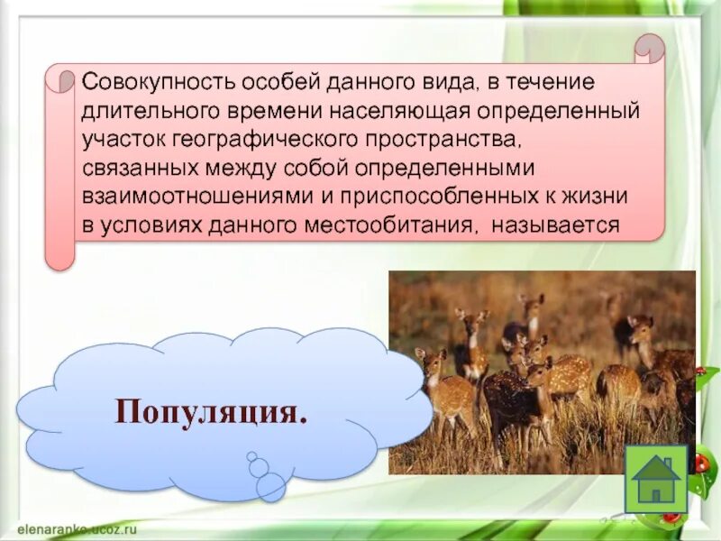 Вид это совокупность популяций. Совокупность видов растений и животных длительное время