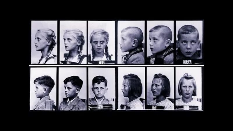 Арийские мемы. Этническая антропология. Расово неполноценный. Арийские мемы. Арийская женщина.