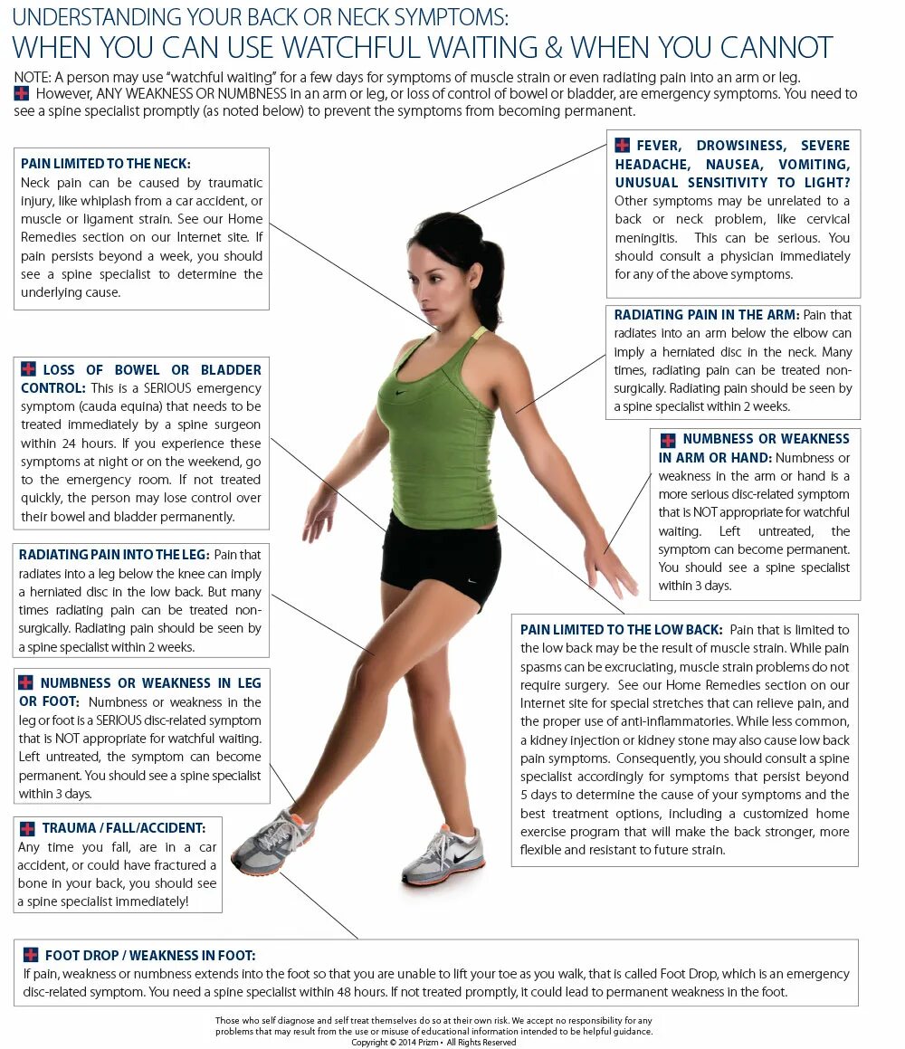 Leg numbness backache. Spine Pain Knee. Leg foot разница. Most common causes of lower back Pain. Arms legs перевод