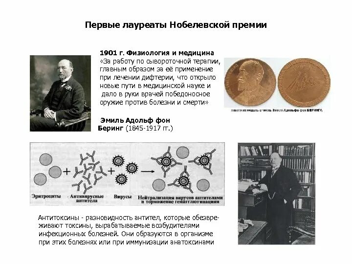 Первая Нобелевская премия 1901. Первые Нобелевские лауреаты 1901. Лауреаты Нобелевской премии 1900-1917. Лауреаты Нобелевской премии. Школа нобелевских лауреатов