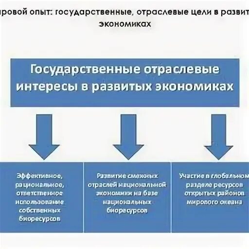 Государственный опыт