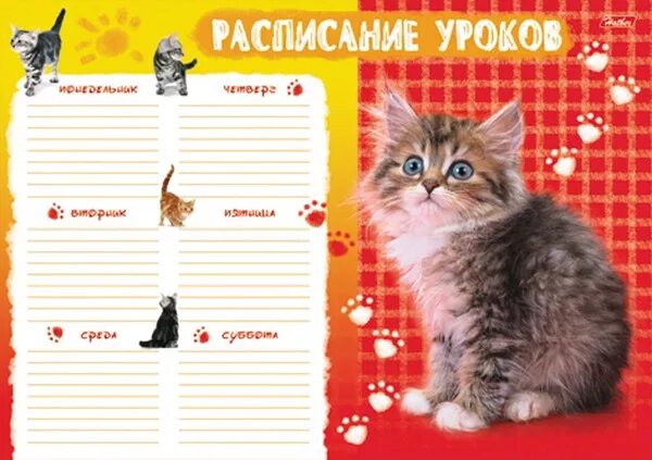 расписание уроков с котиками. расписание уроков с котятами. расписание уроков "кошки". расписание уроков для девочек с котиками. расписание уроков и звонков.