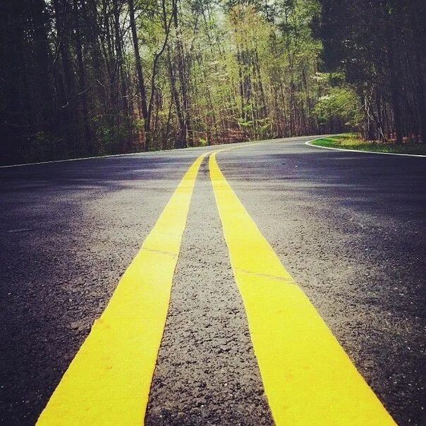 Дорога появится сама собой. Саму дорогу. Сделай шаг и дорога появится. Сделай шаг и дорога появится сама. Сделай первый шаг и дорога появится сама собой.