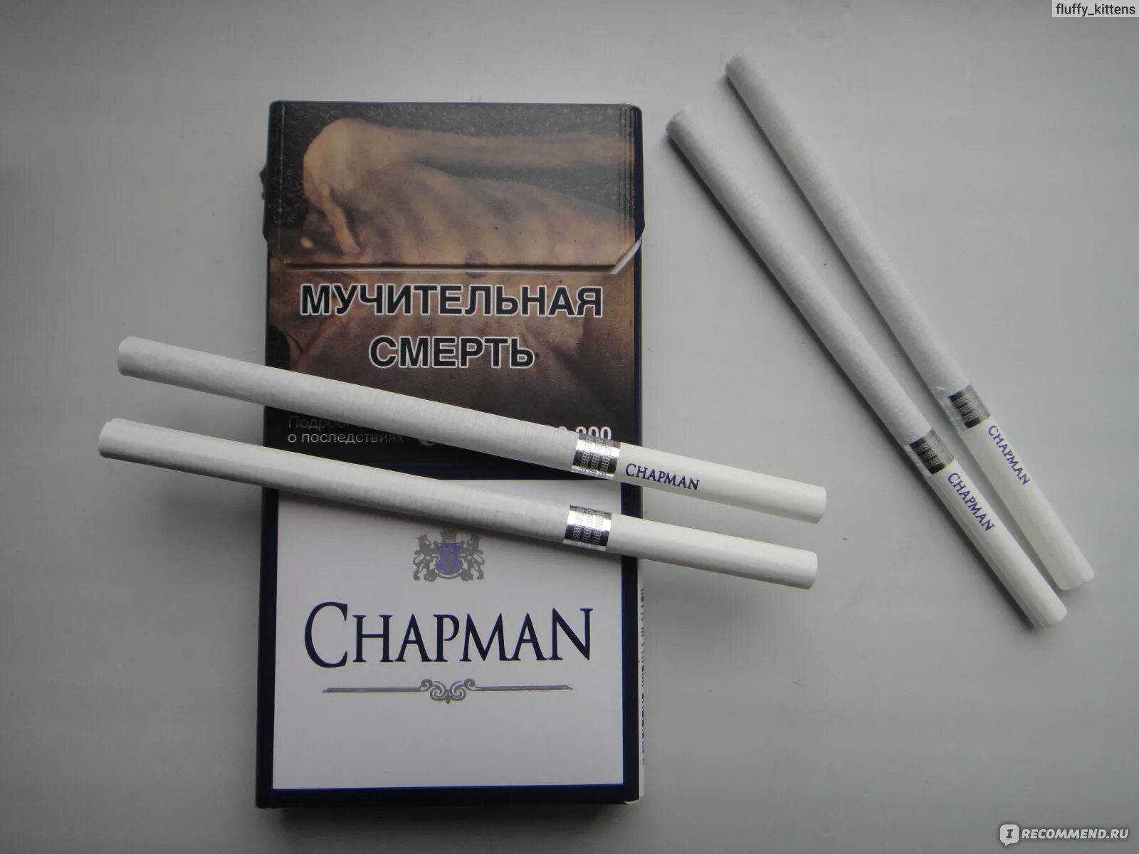 Виды сигарет чапман. Сигареты Chapman Slim Блю. Чапман сигареты черри. Сигареты Chapman (Чапман) компакт Браун. Chapman синий сигареты.