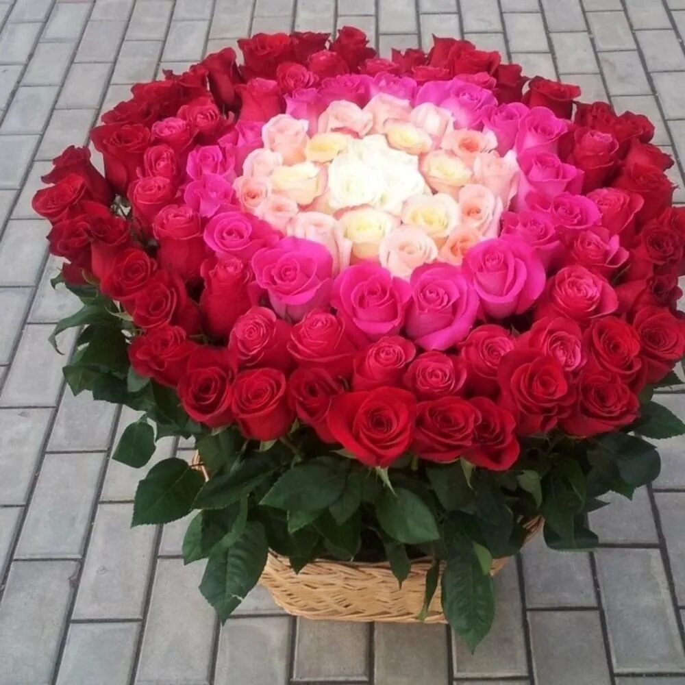 Розы для любимой. Розы для любимой. Что любят есть розы. Красные розы. Что любят есть розы.