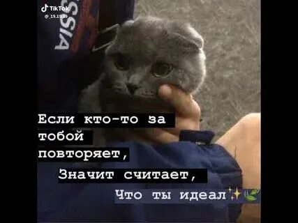 Что ты это повторяешь
