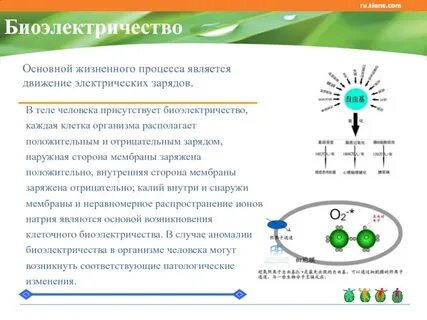Электрический заряд клеток