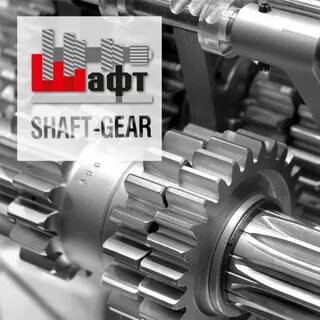 Shaft gear