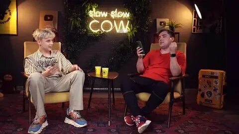 Slow cow