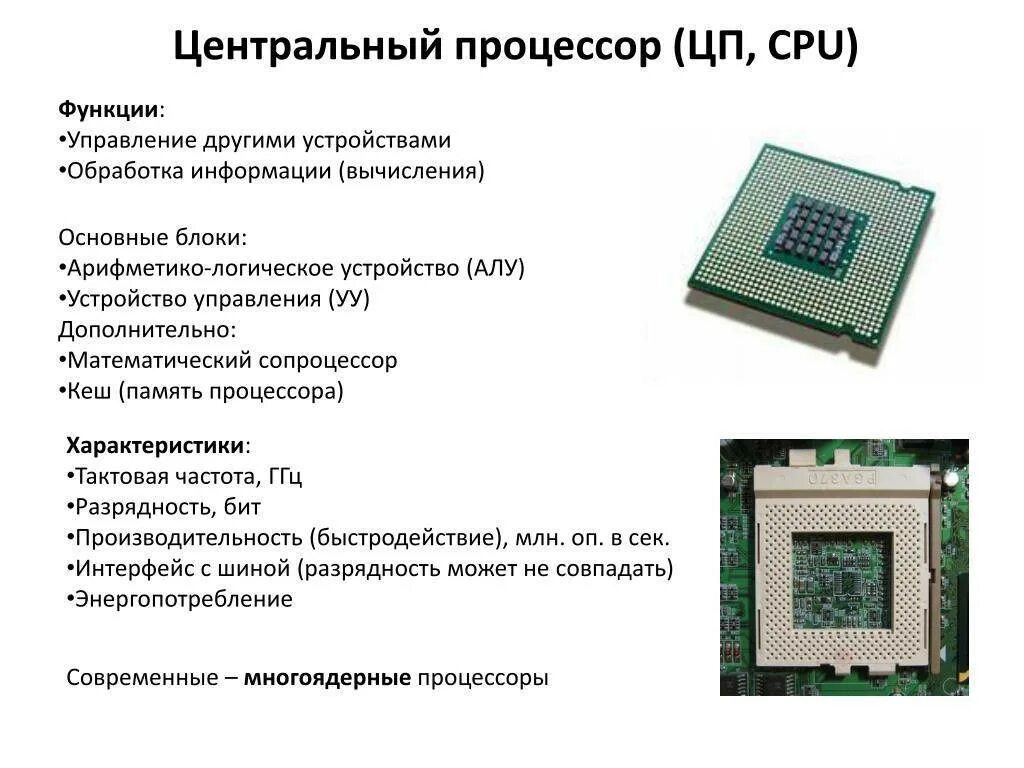 1 функции процессора. Процессор вид сбоку. Процессор Назначение характеристики семейство процессоров. Разрядность процессора схема.