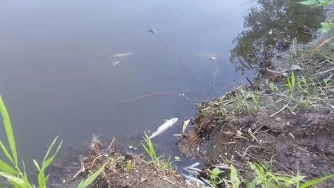 На крючок пенза