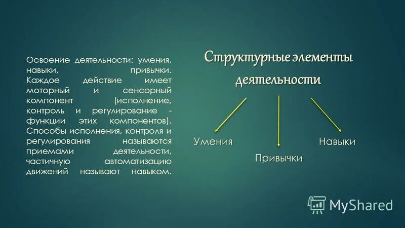 в каких примерах проявляются умения навыки привычки