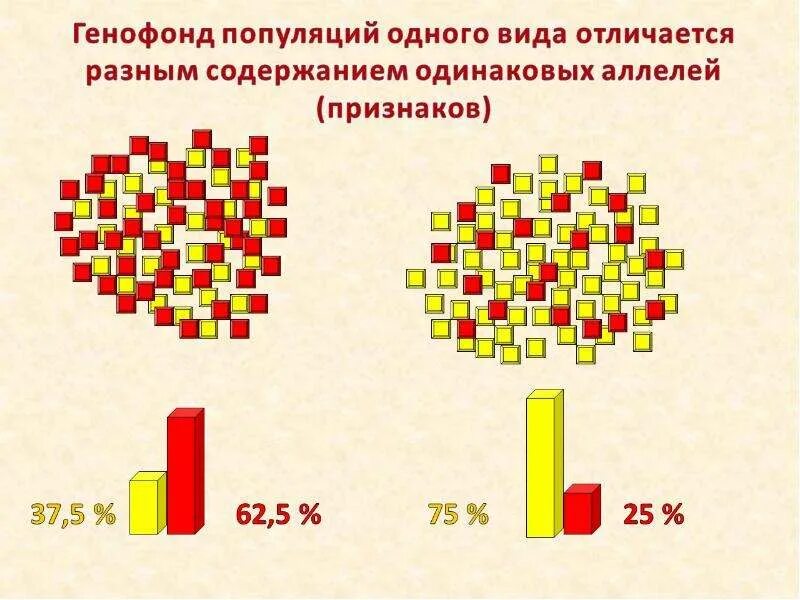 Направленные изменения генофонда. Генофонд популяции. изменение генетического состава популяции. генофонд популяции схема. изменение генофонда популяций.