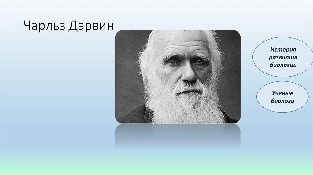 Дарвин портрет. Дарвин чарлз биолог. Ччарльз робер т дарвин. Ч дарвин. Ч дарвин.
