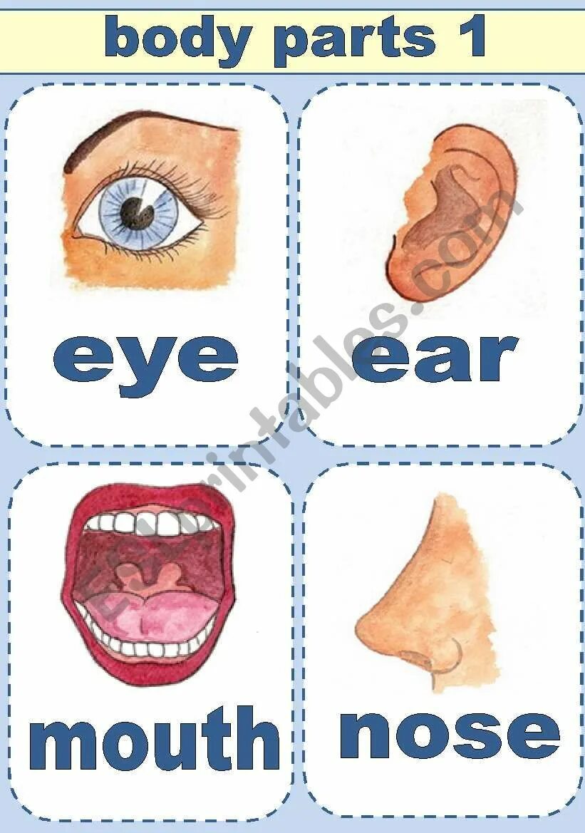 Eyes ears mouth nose